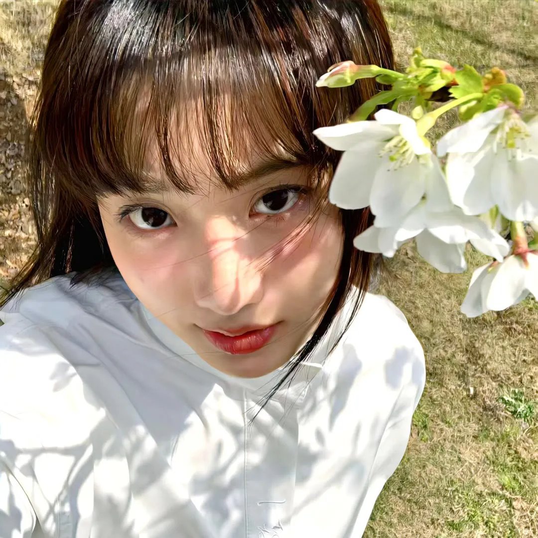 菜鸟先生